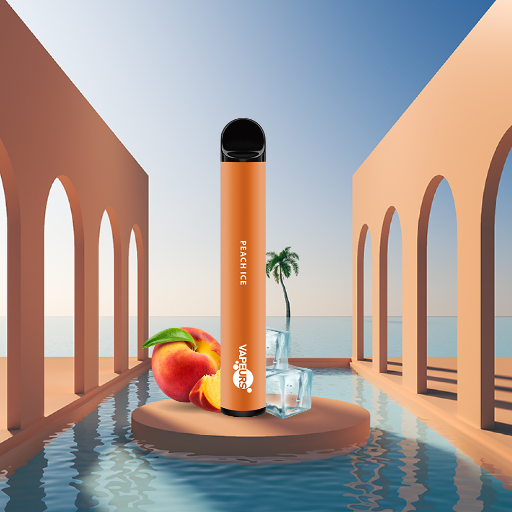 Vapeurs Einweg Vape Peach Ice