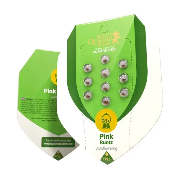 Royal Seeds Samen Pink Runtz Auto (3 Samen