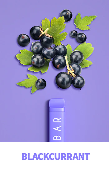 Elf Bar Vape NC600 Blackcurrant