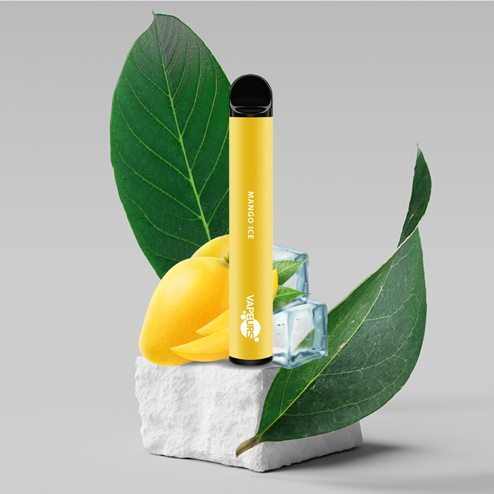 Vapeurs Einweg Vape Mango Ice Vapeurs Einweg Vape Nikotinefrei Mango Ice