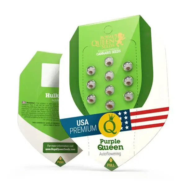 Royal Seeds Samen Purple Queen Auto (3 Samen)