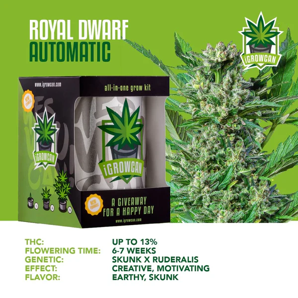 iGrowcan Cannabisanbau Kit Automatic Royal Dwarf