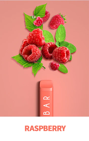 Elf Bar Vape NC600 Raspberry