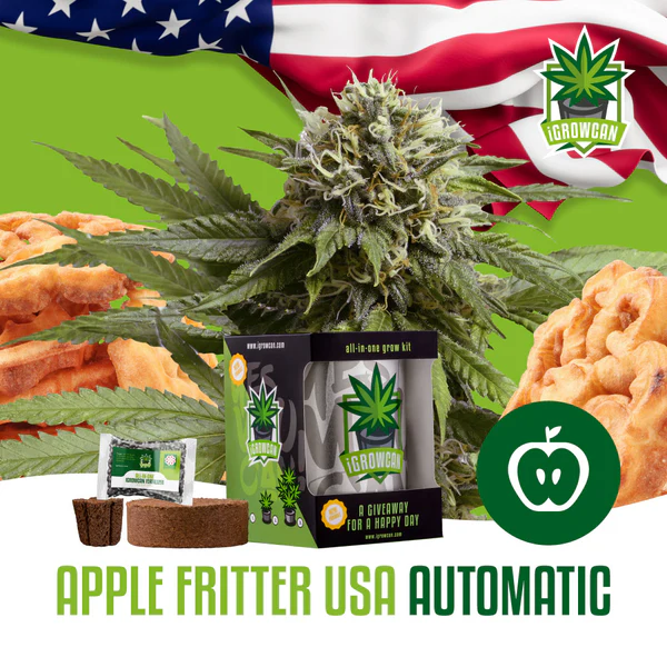 iGrowcan Cannabisanbau Kit Automatic Apple Fritter