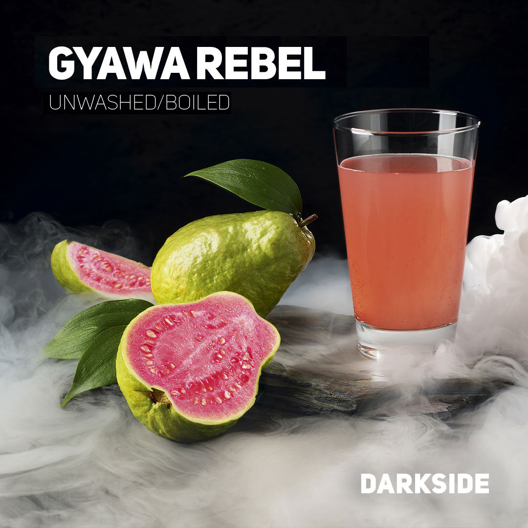 Darkside Tabak 25g Base Gyawa Rebel