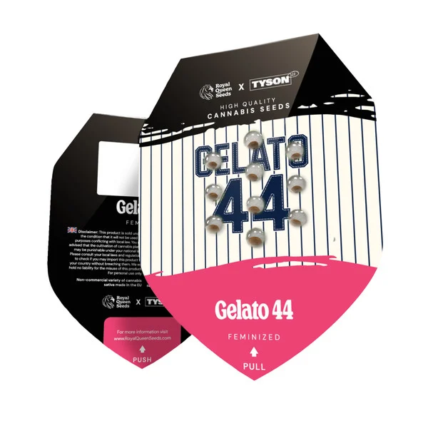 Royal Seeds Samen Tyson Feminized Gelato 44 (3 Samen)