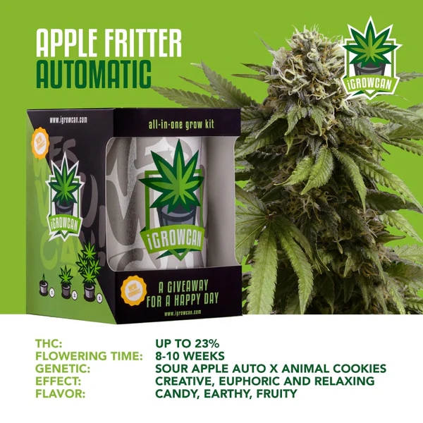 iGrowcan Cannabisanbau Kit Automatic Apple Fritter