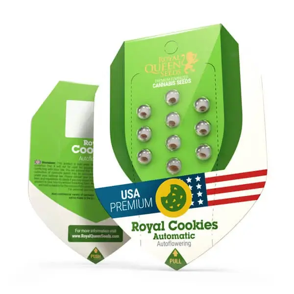 Royal Seeds Samen Royal Cookies Auto (3 Samen) Royal Seeds Samen Royal Cookies Auto (3 Samen)