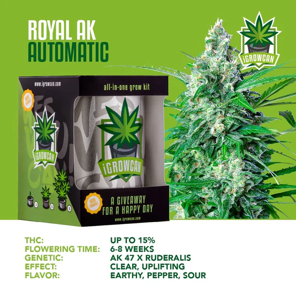 iGrowcan Cannabisanbau Kit Automatic Royal AK