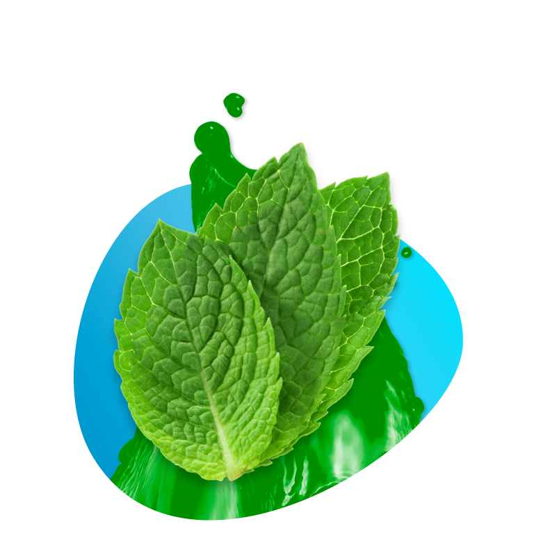 VAAL Vape 500 Mint